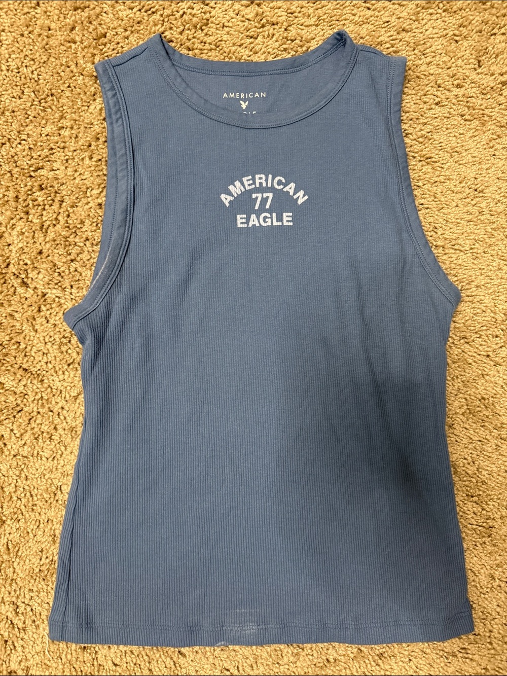 American Eagle Outfitters Blue Rib-Knit Logo Tank